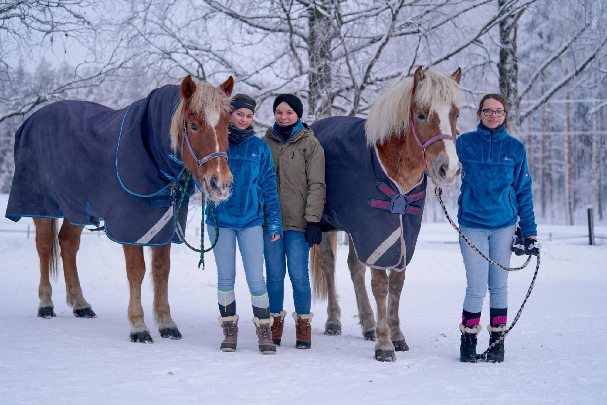 Resort Naaranlahti プンカハルユ エクステリア 写真